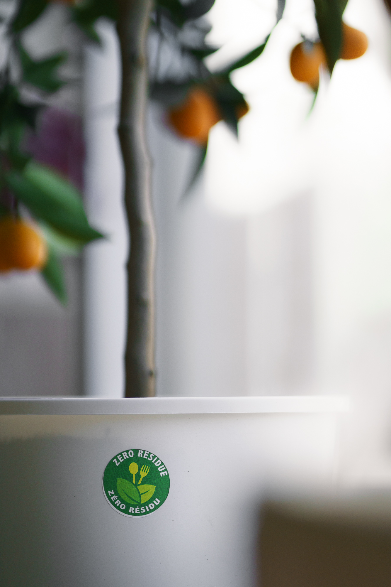 pot de fleur sans pesticides de chez Ostara, fleuriste et maitresse de cérémonie funéraire à l'île verte, Grenoble