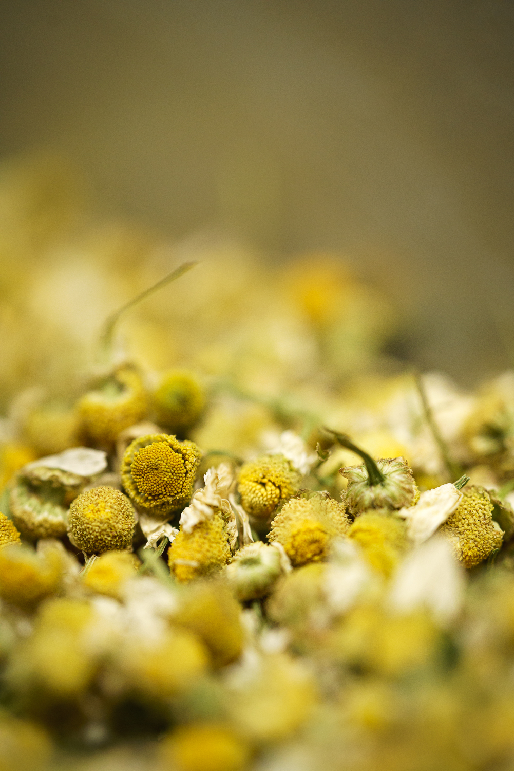 préparation de tisane à l'herboristerie grenobloise corjon