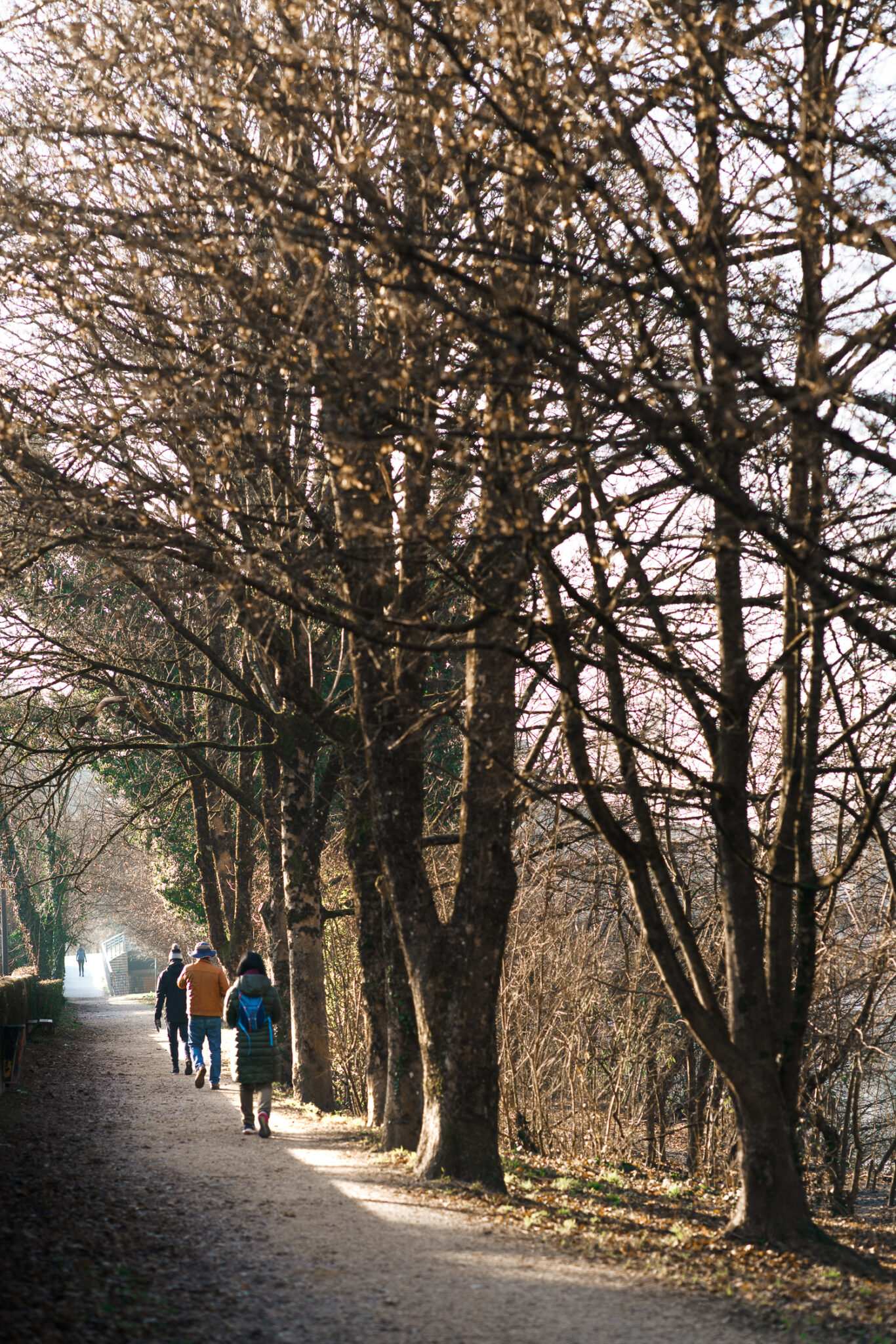balade le long des quais de l'isère à Grenoble