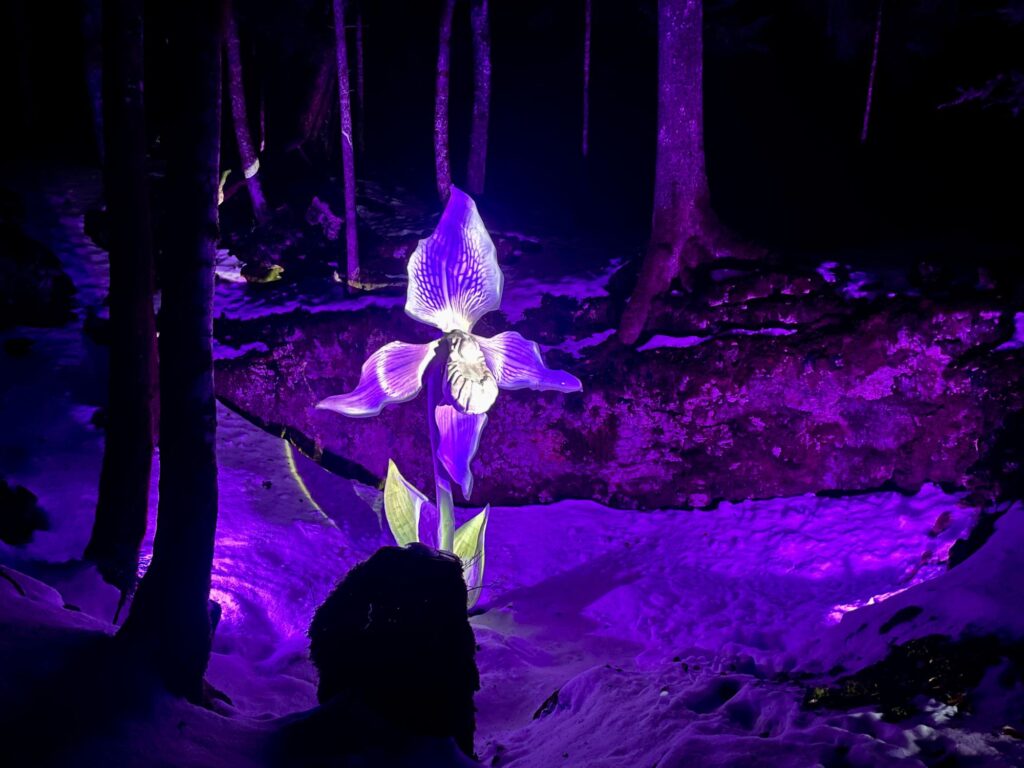 Balade nocturne immersive Villard de Lans