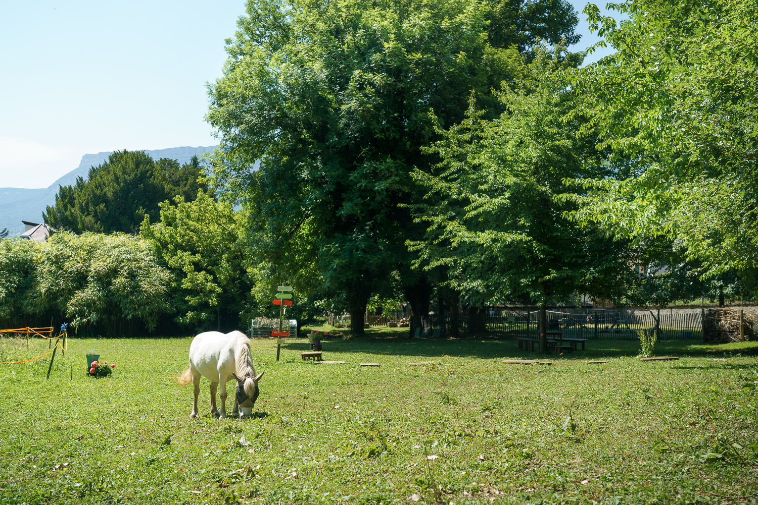 animaux jardin maison bergès, saison culturelle eau grenoble musée