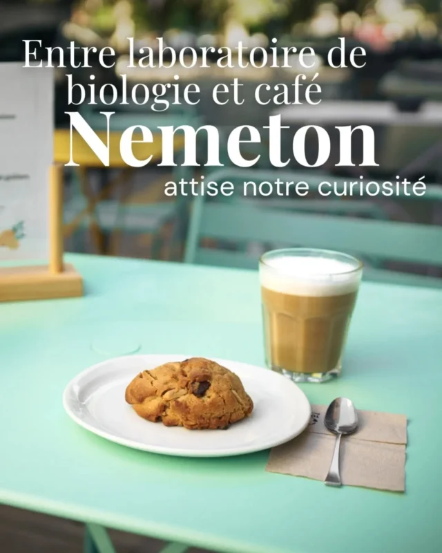 Faire cohabiter sous un même toit, un restaurant, un coffee shop et un espace pour expérimenter comme dans un vrai laboratoire scientifique ? C'est le pari de Sami et Damien avec @nemeton.bio , une nouvelle adresse hybride rue Marx Dormoy ! 🔬

À peine le pas de la porte franchi, les odeurs enivrantes de la cuisine vous accueillent. C'est là que Sami, chef cuisinier-pâtissier, imagine une carte 100 % végétale où la fermentation tient une place centrale. On y vient aussi bien pour croquer dans un cookie au shiro miso fait maison que pour partager de jolies assiettes créatives aux inspirations européennes, marocaines ou asiatiques, comme des keftas comme à Essaouira, un duo de phkali ou une crème de bissara. 😋

En parallèle, Damien, la tête pensante du volet scientifique et pédagogique, a imaginé et aménagé l’espace pour en faire un lieu de médiation culturelle. On vient chez Nemeton pour travailler ou grignoter, mais aussi s’essayer à des ateliers pratiques (comme le prochain du 17 octobre), partager les « Soirées du Vivant » autour d'assiettes à partager, ou lier science et cuisine lors de futurs événements.

👉 Pour découvrir les coulisses de ce nouveau lieu et leur programmation, rendez-vous sur l'article (lien en bio) ! 📲

📍 @nemeton.bio — 11 rue Marx Dormoy, Grenoble
 
✍️ @quentinfombaron 
.
.
.
#lesmondaines #grenoble #restaurantgrenoble #sortiragrenoble